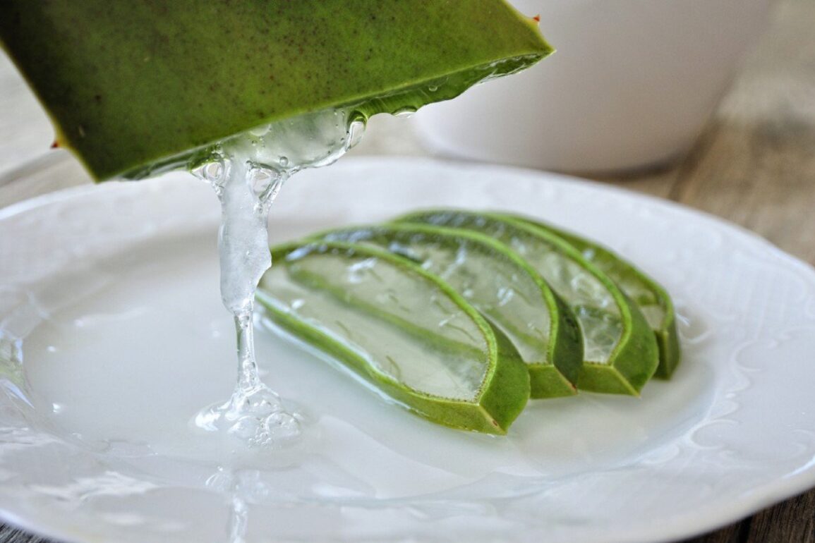 ALOE VERA IS USED FOR HAIR GROWTH