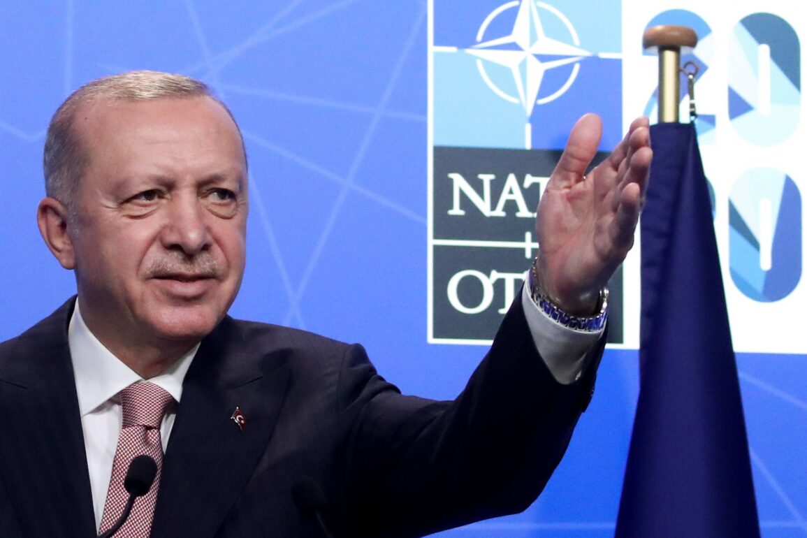 Turkey would approve Finland's NATO candidacy